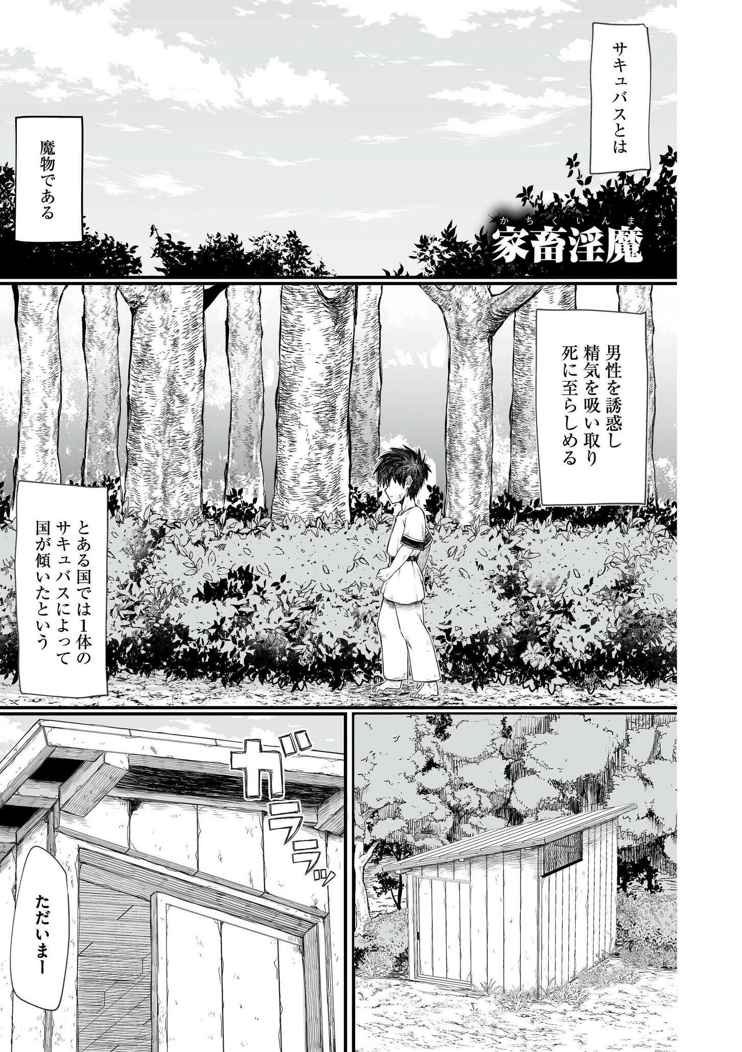 b092agwrk03009 異世界の女達 25ページ