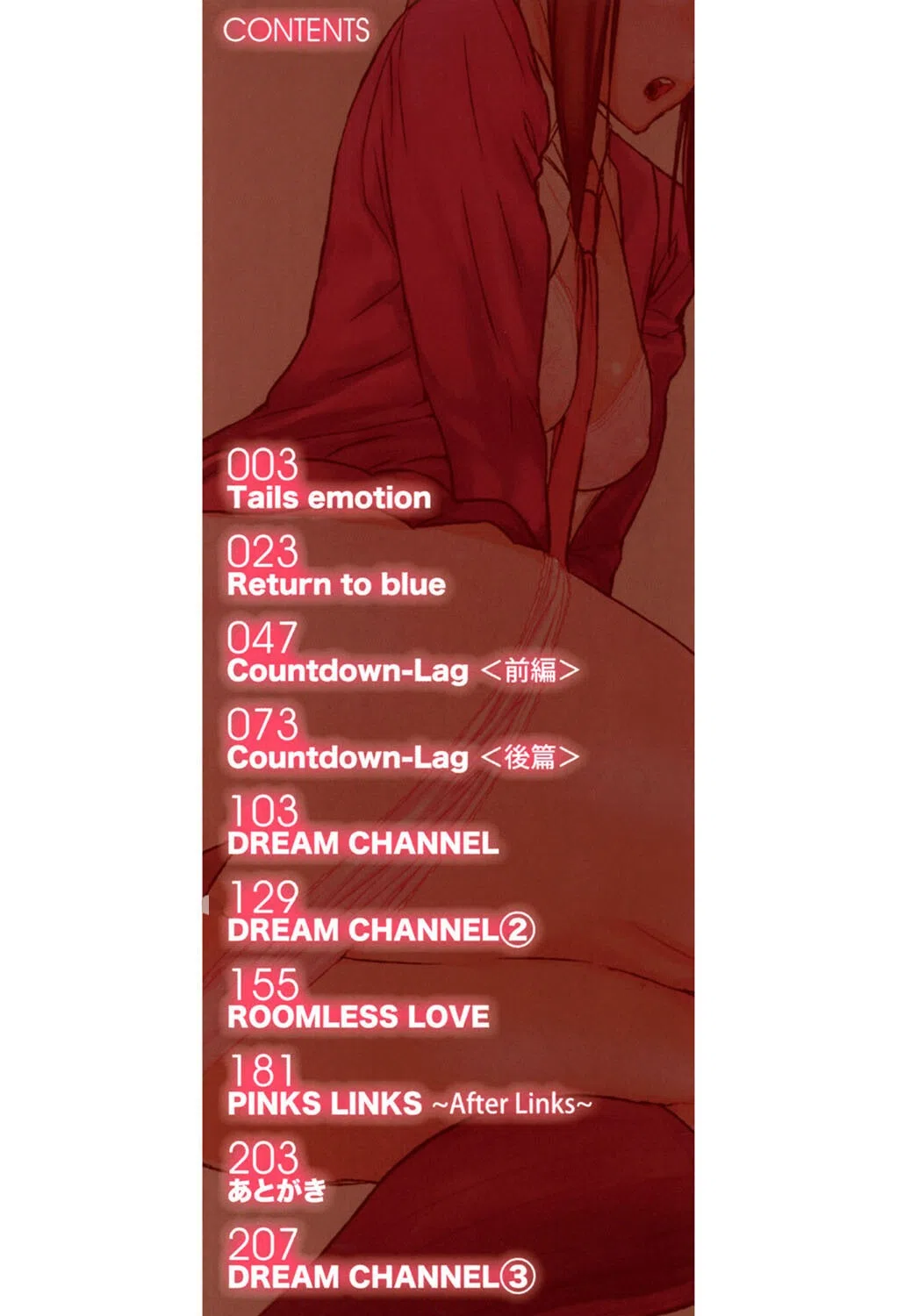 DREAM CHANNEL 2ページ