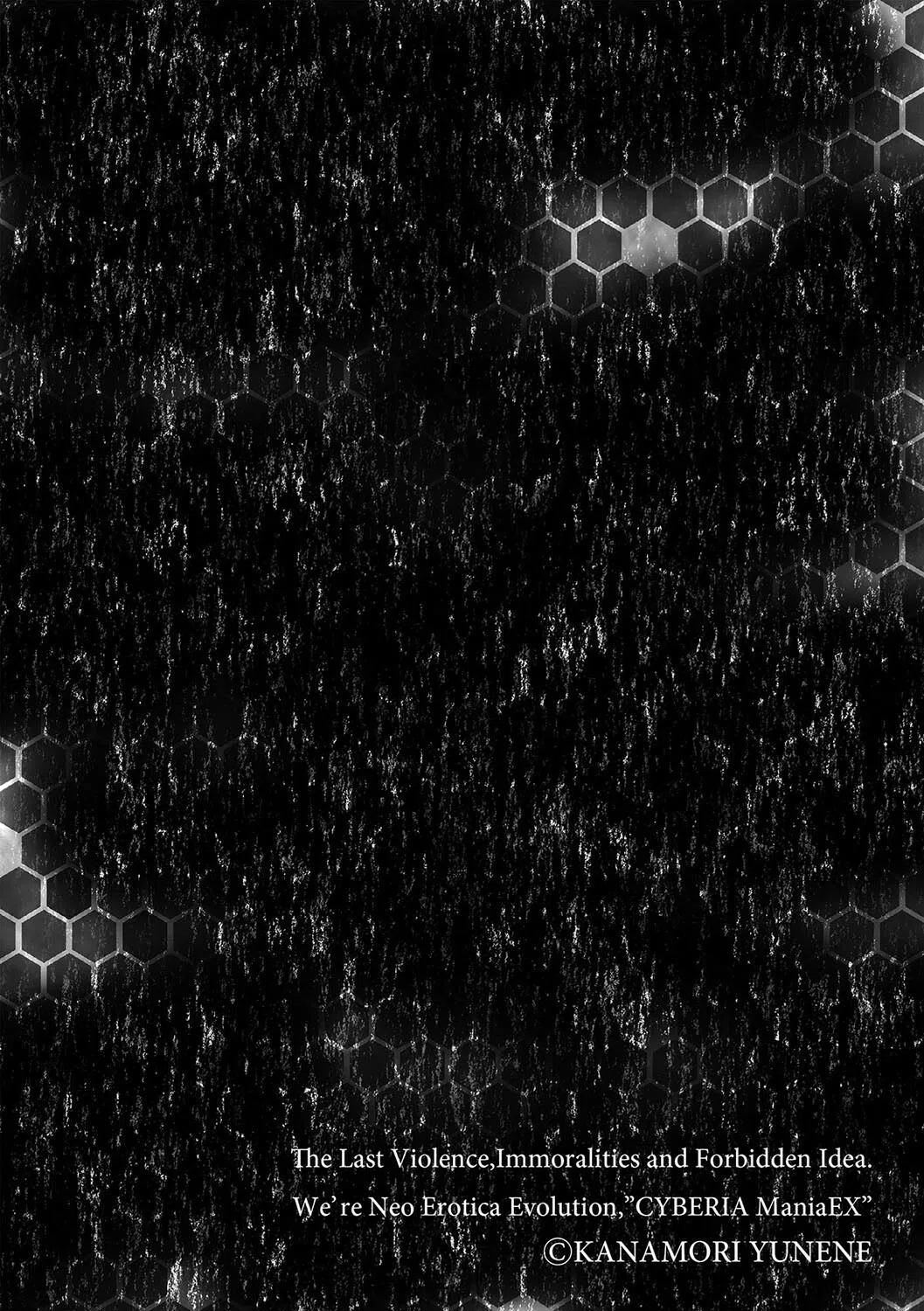あなた、ごめんなさい 〜義弟と私の酔狂な夜〜（単話） 2ページ