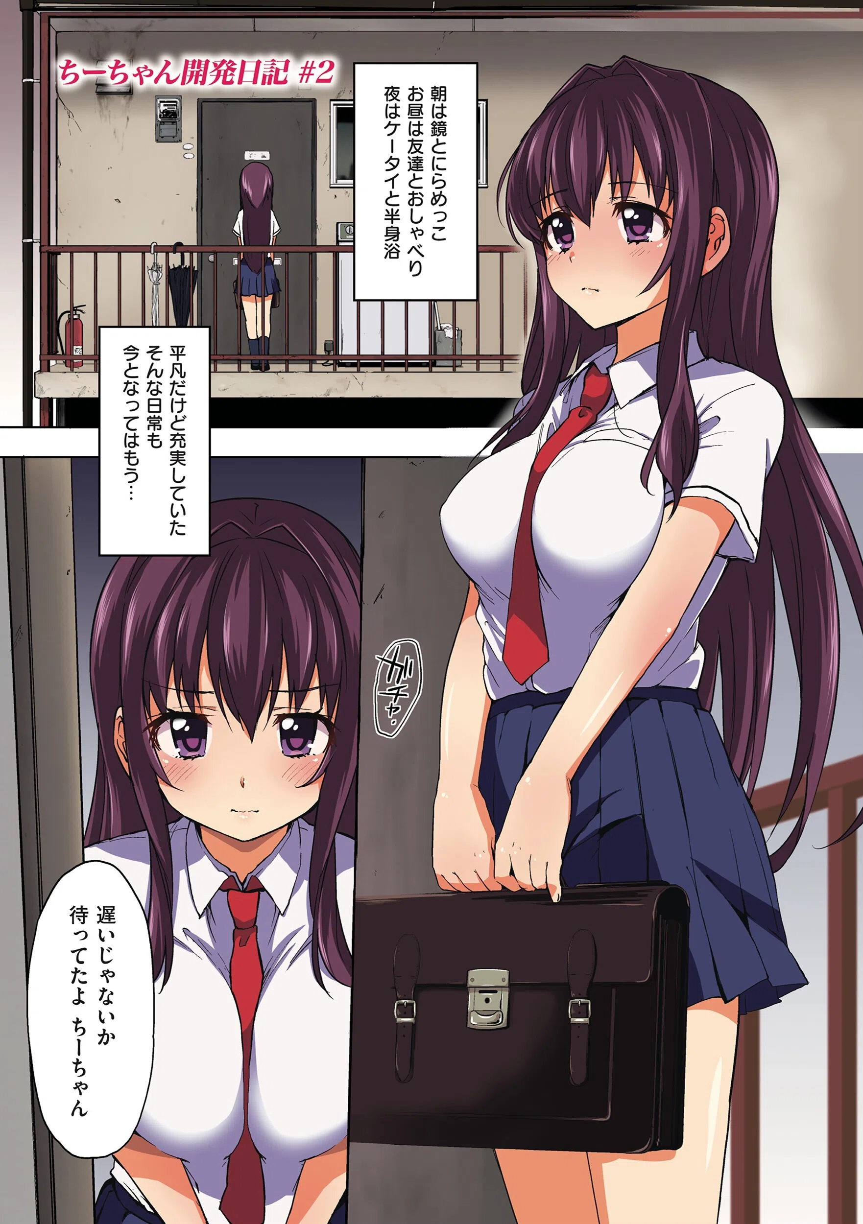 ちーちゃん開発日記【デジタル特装版】 12ページ