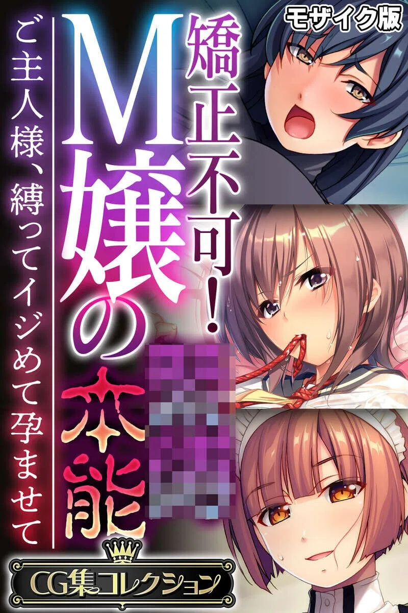 矯正不可！M嬢の●●本能 〜ご主人様、縛ってイジめて孕ませて〜【CG集コレクション】 モザイク版