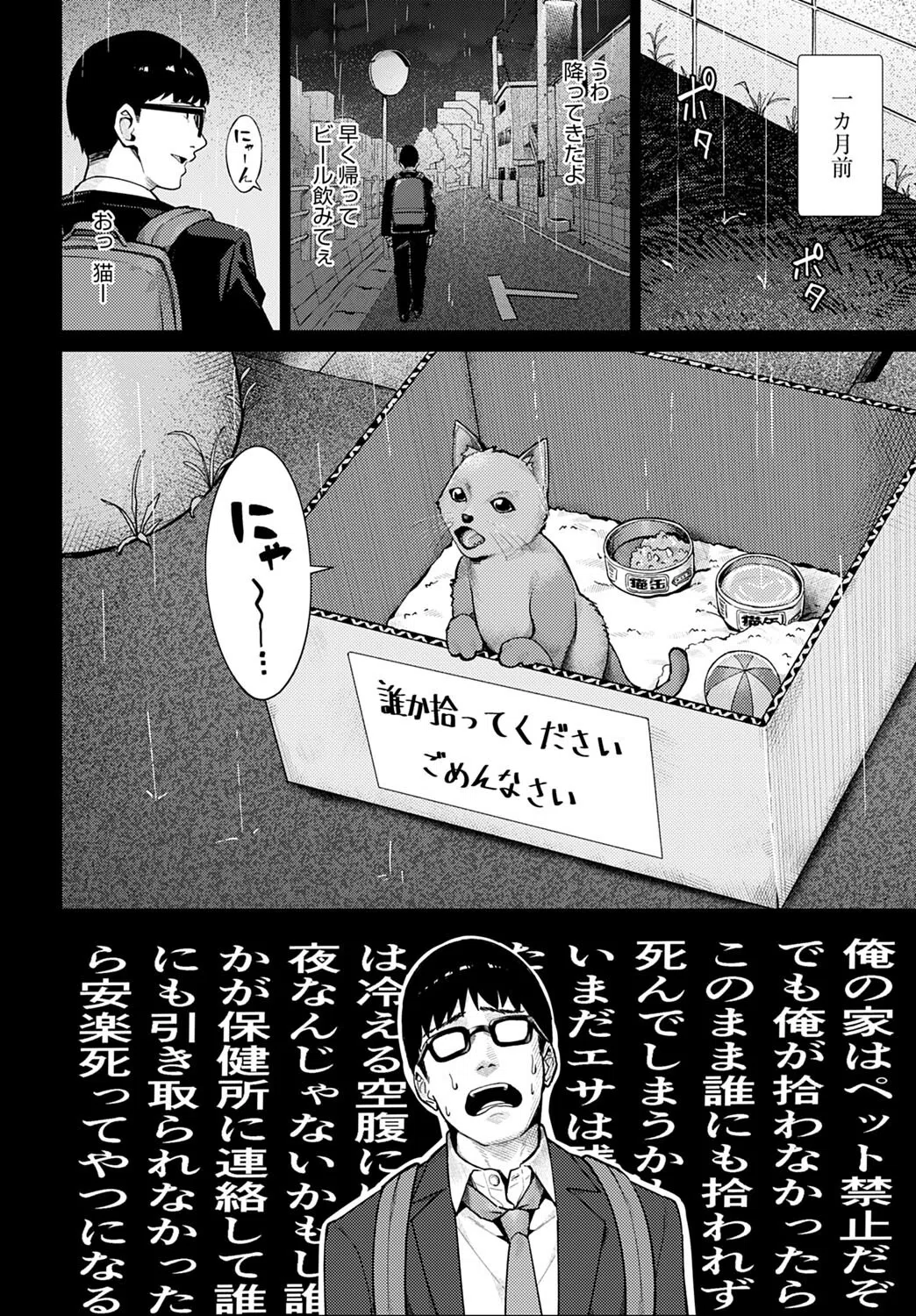 猫と好奇心とJK（単話） 2ページ