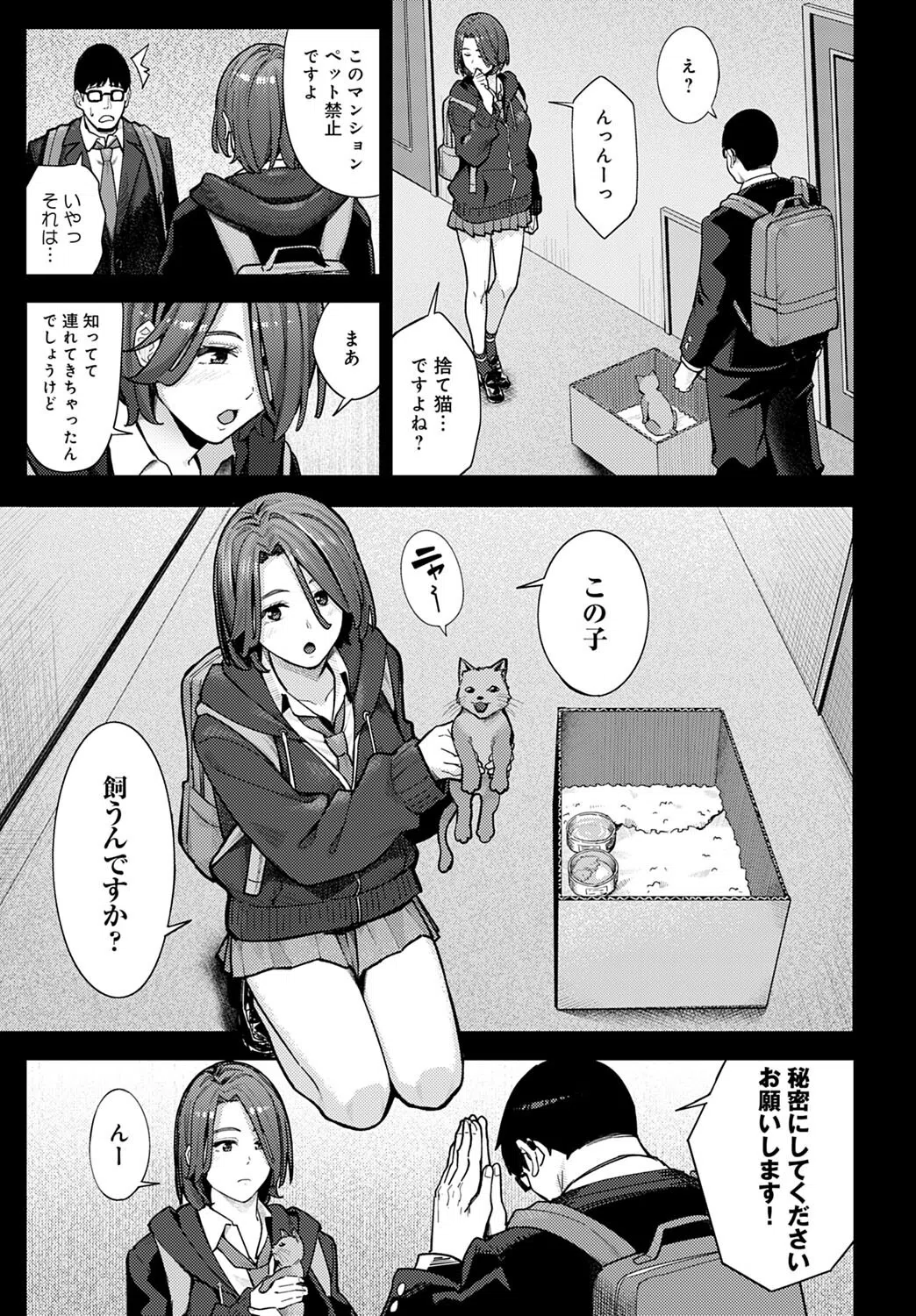 猫と好奇心とJK（単話） 5ページ