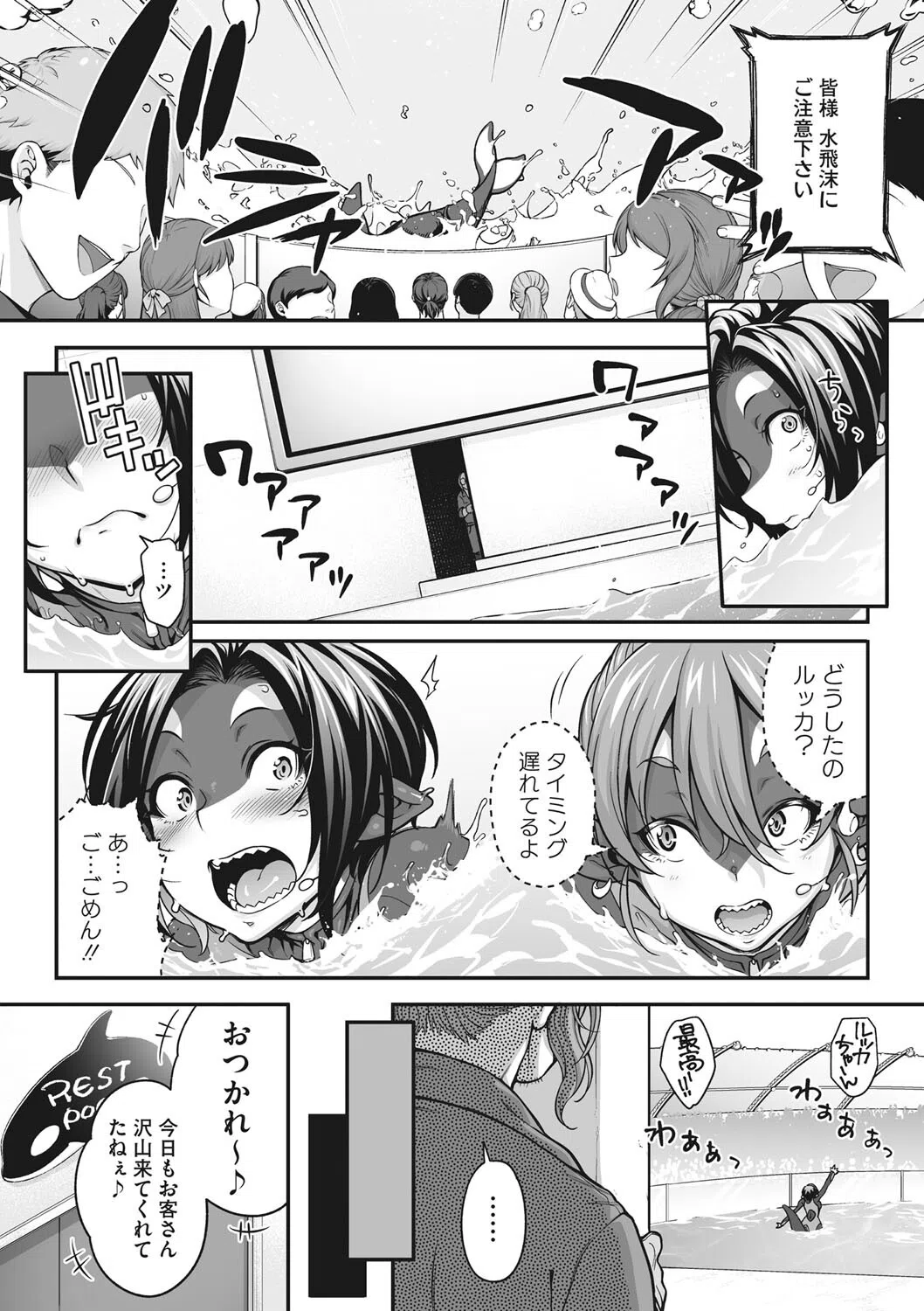 二人きりのオルカショー 〜この恋に溺れて〜（単話） 2ページ